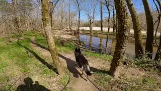 Coolin off in the creek at Busiek State Forest