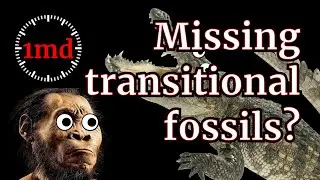 1MD - Evolution - There are many missing transitional fossils