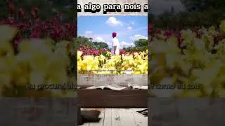10 de janeiro de 2026