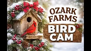 Ozark Farms Heritage & Nature Preserve | Wildlife, History & Ozark Living