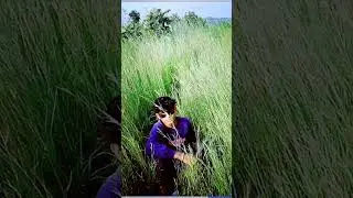 #trending song #diwalispecial #viral  #viralvideo  #video #viralshorts  #viralshort #dukanvilover