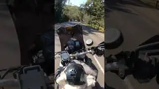 Дорога в никуда