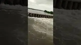 nira nadi short video
