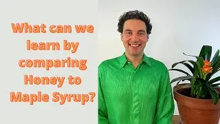 Learning from the Bees - Honey compared to Maple Syrup