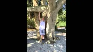 Boys Growth On Sanibel