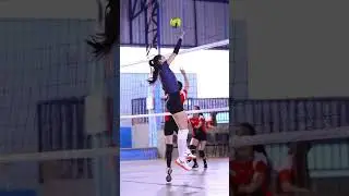 Dekhta hun jaha 🥀#shorts #shortvideo #basketball #volleyball #girls #sports🎯 #flowers #20kfollowers
