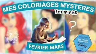 MES COLORIAGES MYSTERES TERMINÉS FEVRIER - MARS 2024