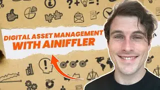 Exploring the World of Digital Asset Management with AiNiffler