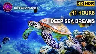 11 Hours Deep Sea Dreams 🌊 4K Ultra HD Meditation