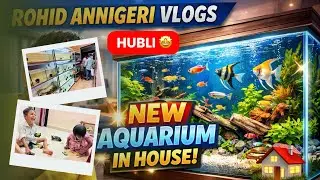 NEW Aquarium In House 🐠 | Hubli Fish aquarium shop  😍 | Rohid Annigeri Vlogs