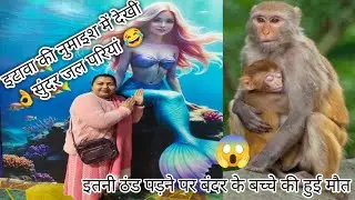 इटावा की नुमाइश में देखी👌 हमने  बहुत सुंदर-सुंदर 🤣जलपरियां #trending #@guptakifamil 