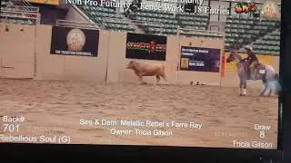 Trish Cow Work Reno SBF 2021