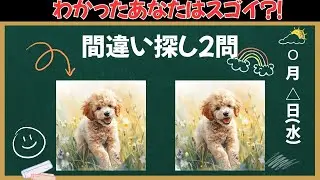 【間違い探し】これがわかったあなたの脳年齢は若い！！サクッと脳を活性化！