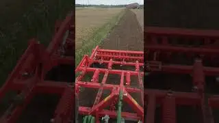 Gaspardo maschio teramoto 3