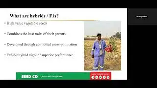 Onion Production Webinar Recap 2026