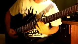 Jake Nelis - The Despot - The Declined (Guitar Cover)