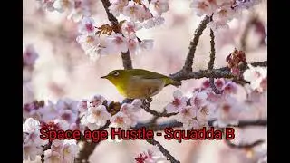 #HipHopRapDark #SquaddaB #SpaceAgeHustle Squadda B | Space Age Hustle
