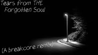 End0_114- Tears From A Forgotten Soul (BreakCore)