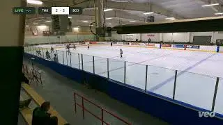 U10 AA MSN North Stars SilverStick Tournament 2025-2026 VS Barrie Colts