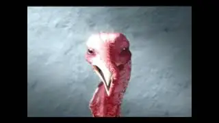 A&ccedil;ao Comunitaria do Brasil- Turkey (2002, Brazil) (Original Version)