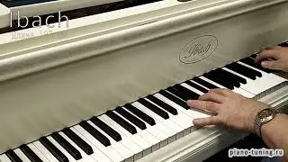 Белый рояль Ибах. (Grand Piano RUD. IBACH SOHN)