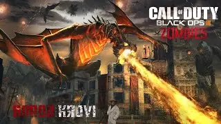 flying solo on gorod krovi