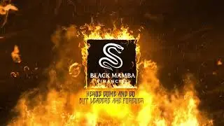 Meet the Black Mamba Financial Team | Choose a Mentor, Build Your Career