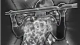 14th Rebirth on Pull Up Training Simulator