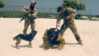 Navy SEALs at Ocean Reef produced by John and Mary Lee