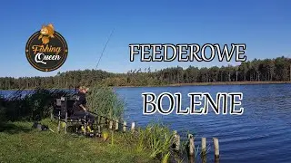Moje PZW || Klasyk z feeder link'iem