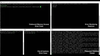 Fault Detection for Illegal Memory Access