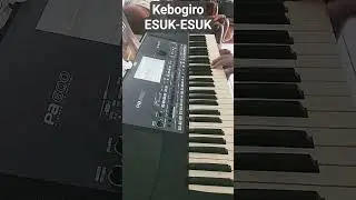 Kebogiro esuk-esuk