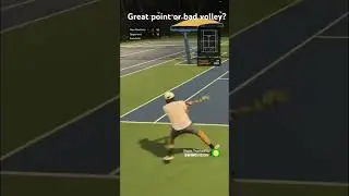 Great point or volley mistake?