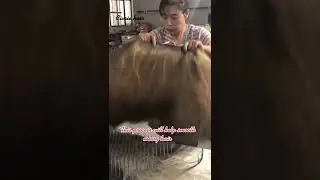 How your wig is made in the factory? | Uncover the secrets of Chinese wig factories in making wigs