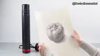 The Best Selling Art & Poster Tubes on Amazon