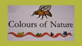 Colours of nature for kids/Colours for kids