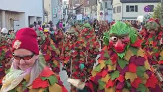 Remseck Umzug Karneval Fasching Fasnet 2026