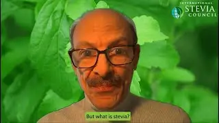 Stevia: The Science Behind The Sweet