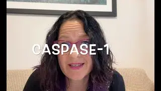Caspase-1