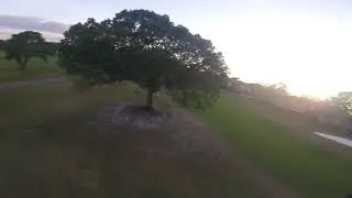 Fpv Dream 5