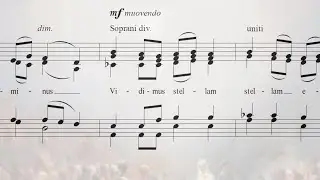 VIDIMUS STELLAM per coro misto | Davide Riva