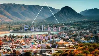 Pushkar tour and party rotaract and rotary club Sangam #pushkarrajasthan