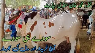khareedar or maal Ki bharmar | TANDO MUHAMMAD KHAN MANDI UPDATE | 2 June 2024