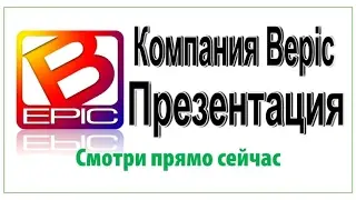 #BEPIC Презентация А. Фролов от 13 02 17