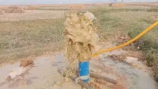 দুবাই ভাইরাল বোরিং ওয়াস লাইক শেয়ার কমেন্ট সাবস্ক্রাইব 🏵️🏵️🏵️🏵️👍👍👍
