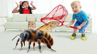 Oliver f&auml;ngt zu Hause K&auml;fer 🐞🐝🦋🪲🐜
