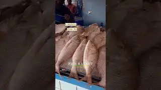 Fish Market Jubail, KSA. #market #seafood #fish #fypシ #trending #foryou #explore #jubail #saudi