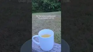 When Herbal Tea Works Harder Than Therapy 😂🌿 | Herbal Wellness Tips #herbalwellness #herbaltea
