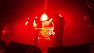 Petyr - Distant Shores @ Roadburn2018