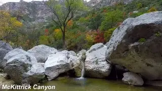 McKittrick Canyon - Fall Colors